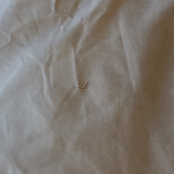 *MULBERRY STREET DOWN FILL COAT with removable hood - Picture 6 of 6